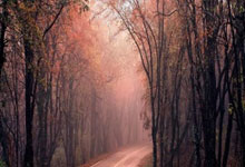 必赢体育：[天下足球]曼联力克曼城 夺得足总杯冠军.