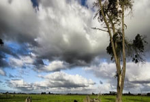 必赢体育：[中超]奥斯卡横传中路 古斯塔沃前点包抄破门.