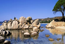 [乒乓球]速胜赵大成 林高远晋级男单16强.